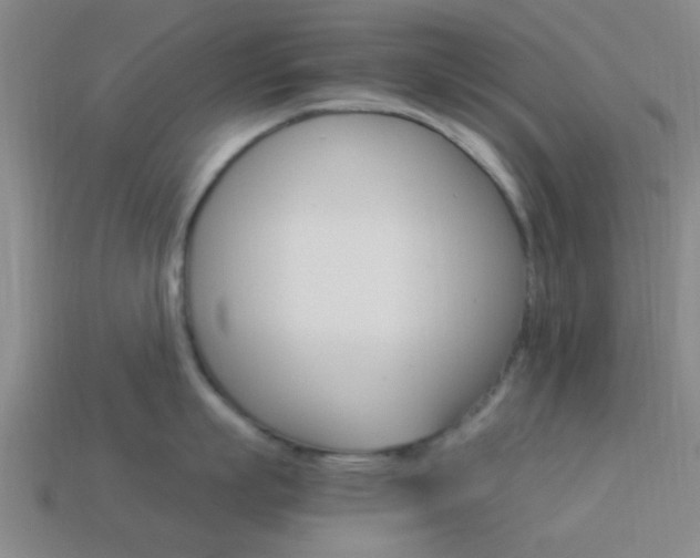 X0000114090863200910051208