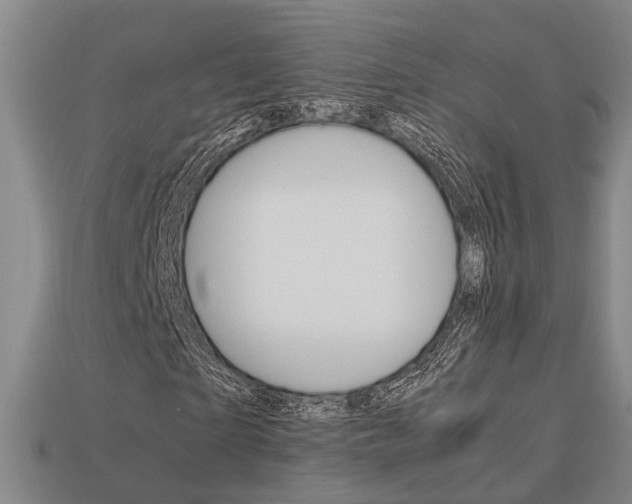 X0000114090865200910051208