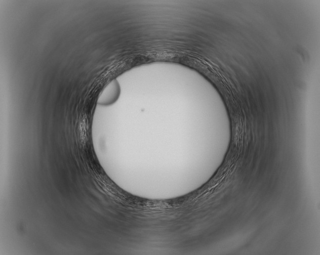 X0000114090866200910051208