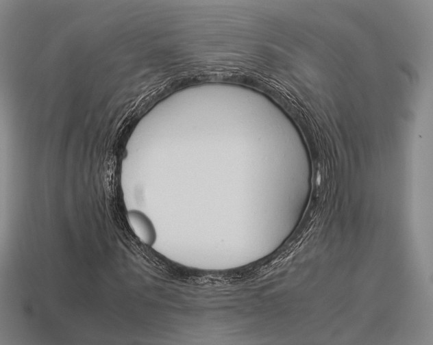 X0000114090867200910051208