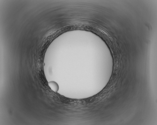 X0000114090869200910051208