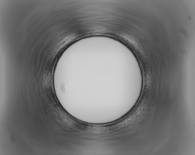 X0000114090873200910051208
