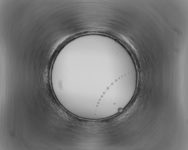 X0000114090875200910051208