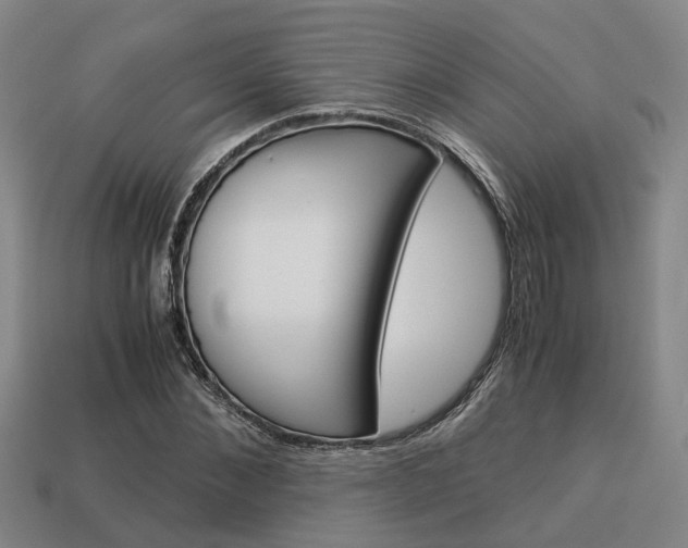 X0000114090876200910051208
