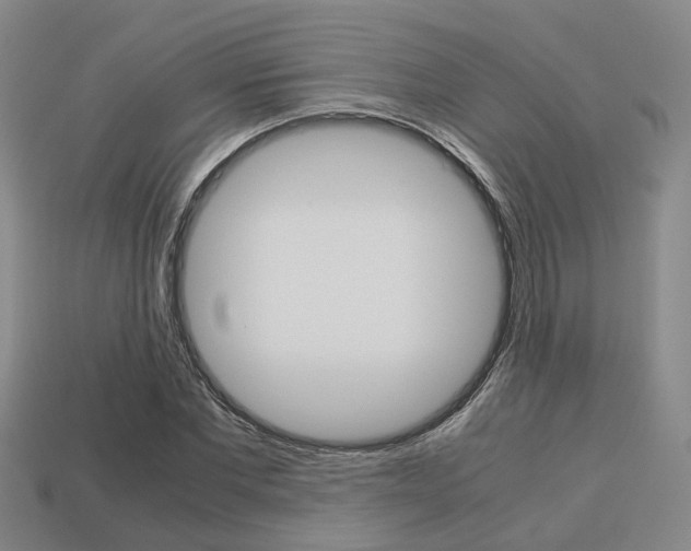 X0000114090877200910051208