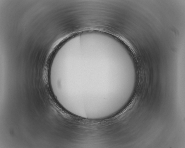 X0000114090878200910051208