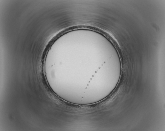 X0000114090879200910051208