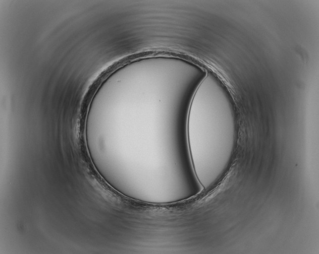 X0000114090880200910051208