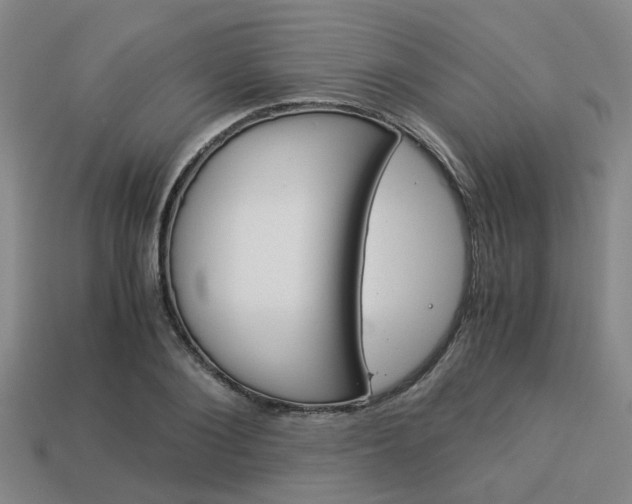 X0000114090884200910051208