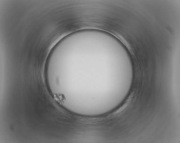 X0000114090885200910051208
