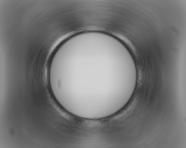X0000114090886200910051208