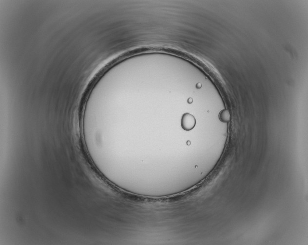 X0000114090887200910051208