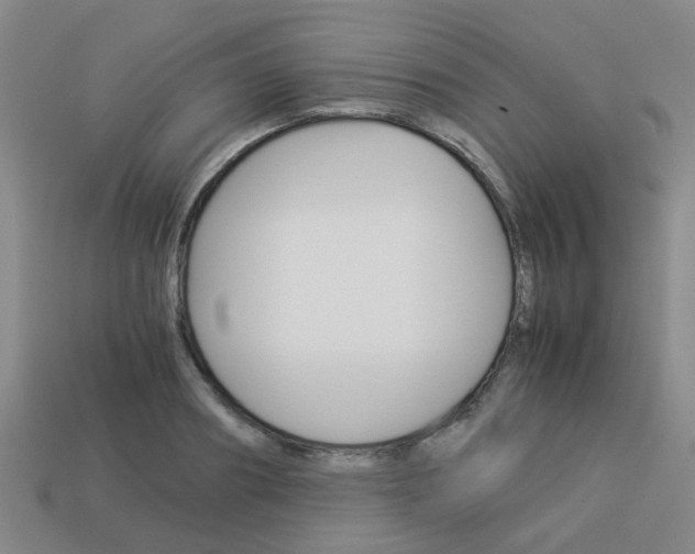 X0000114090890200910051207