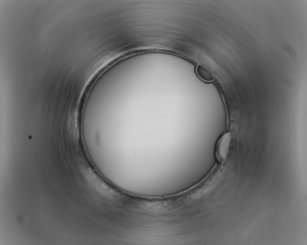 X0000114090892200910051207