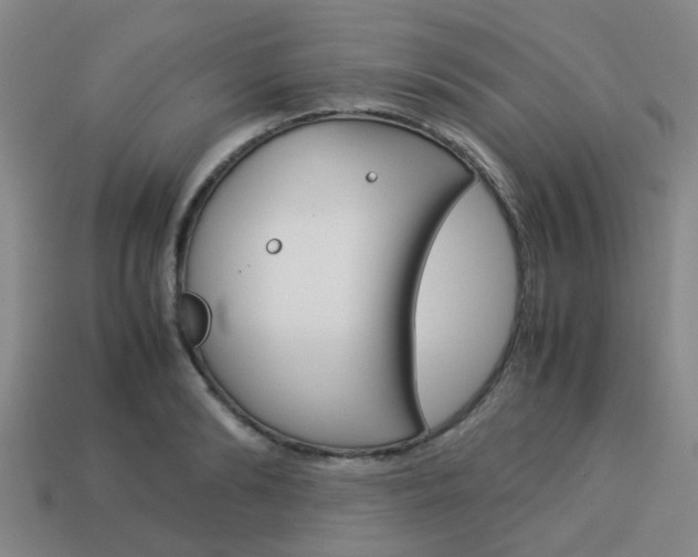 X0000114090894200910051207