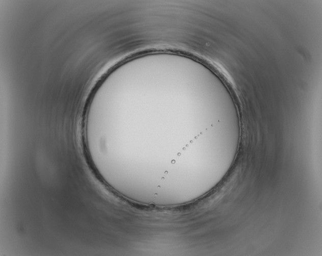 X0000114090895200910051207