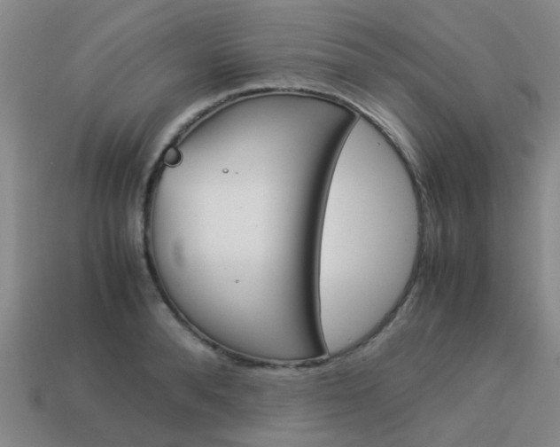 X0000114090896200910051207