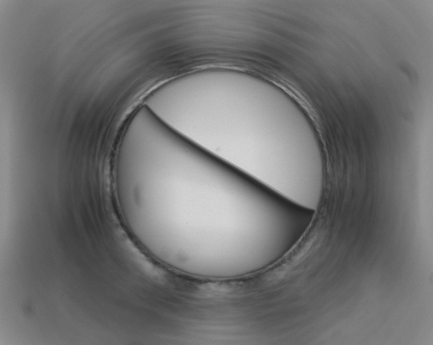 X0000114090898200910051207