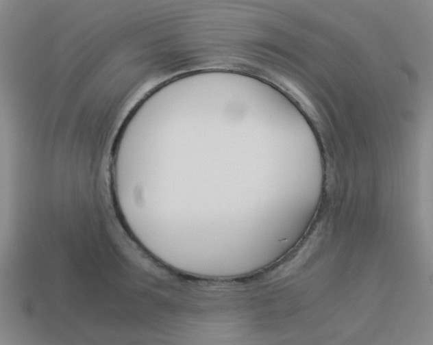 X0000114090899200910051207