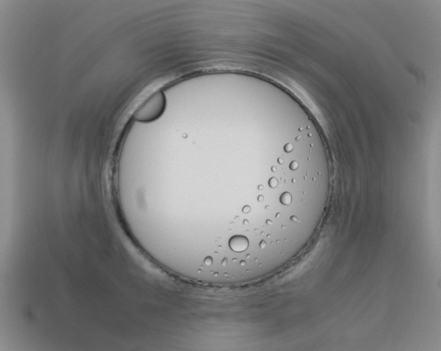 X0000114090901200910051207
