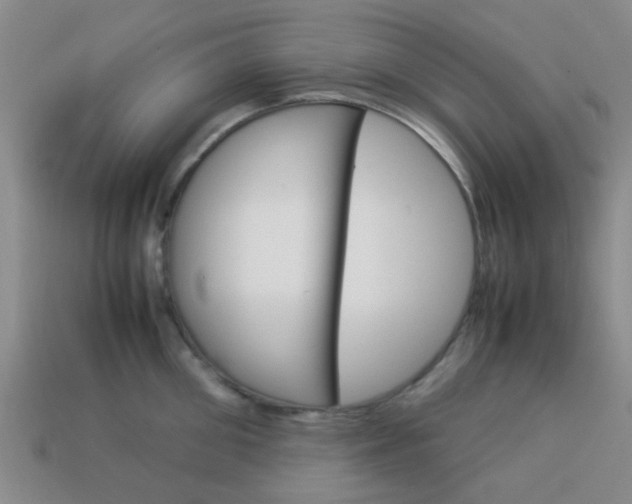 X0000114090906200910051207