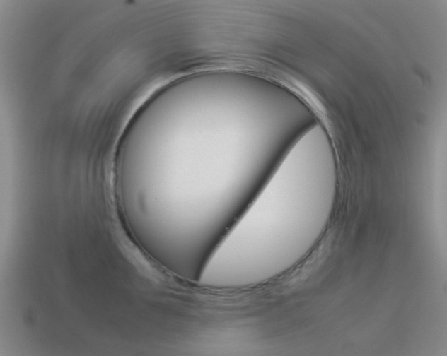 X0000114090907200910051207