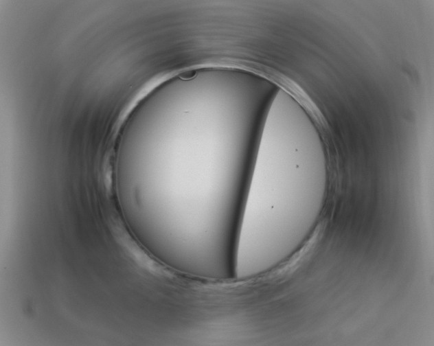 X0000114090908200910051207