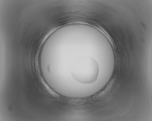 X0000114090909200910051207