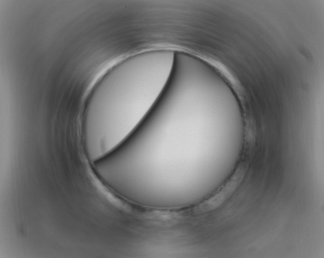 X0000114090910200910051207
