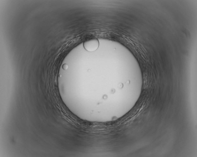 X0000114090913200910051207