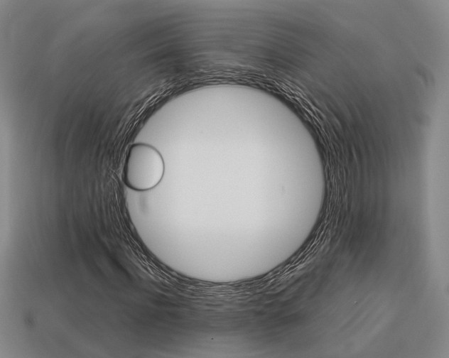 X0000114090916200910051207