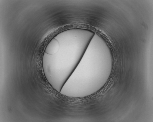 X0000114090919200910051207
