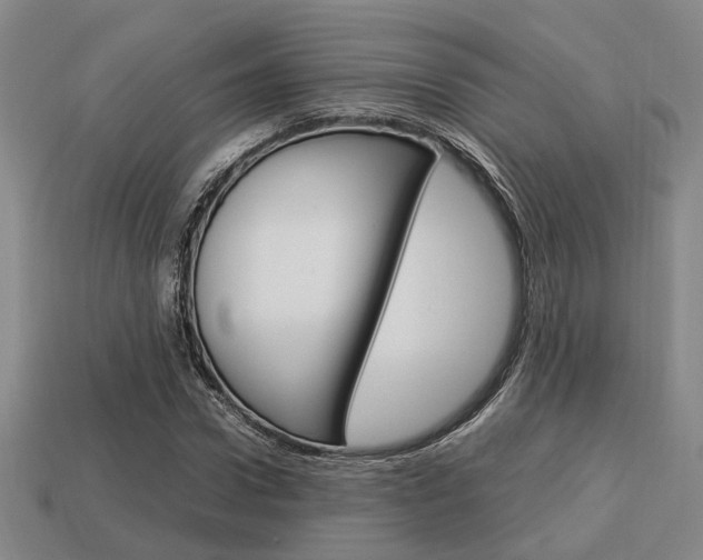 X0000114090922200910051207