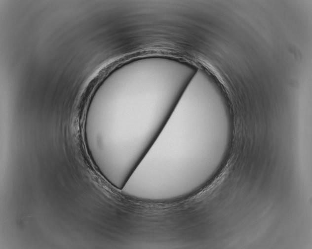 X0000114090923200910051207