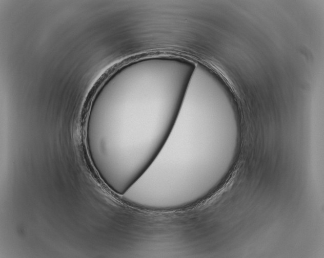 X0000114090924200910051207