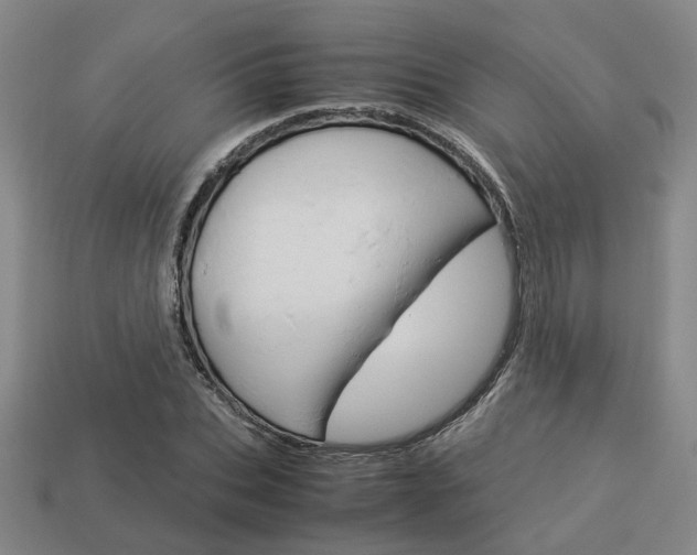X0000114090927200910051207