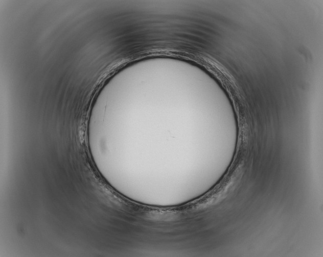 X0000114090929200910051207