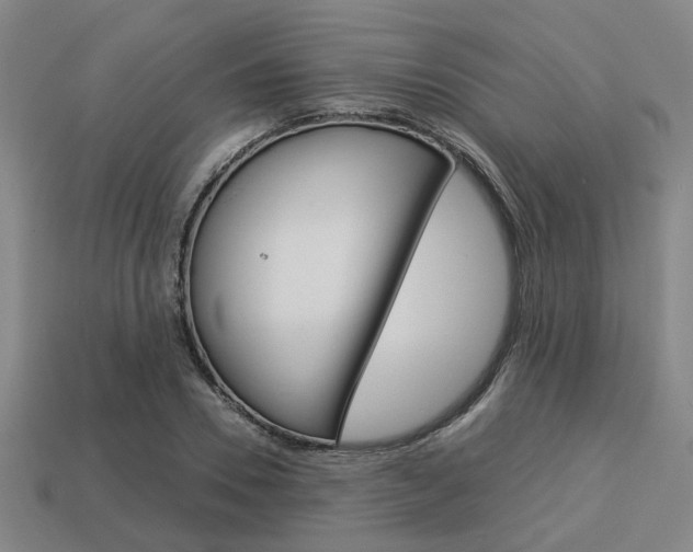 X0000114090930200910051207