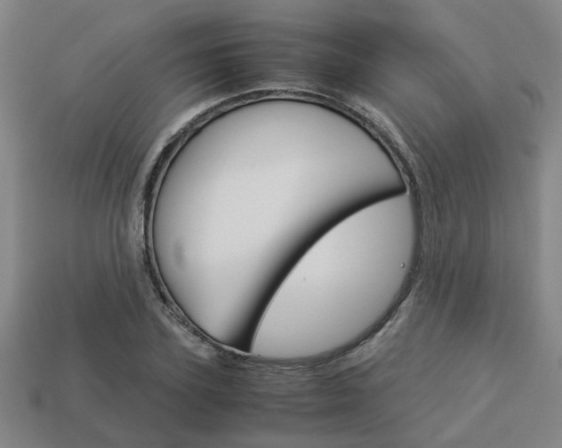 X0000114090931200910051207