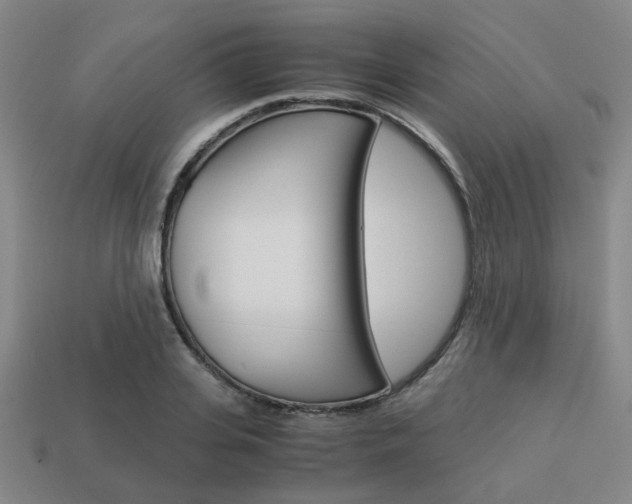 X0000114090935200910051207