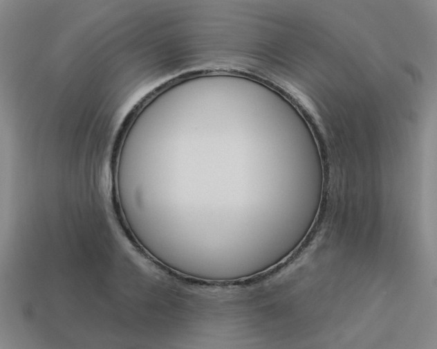 X0000114090936200910051207