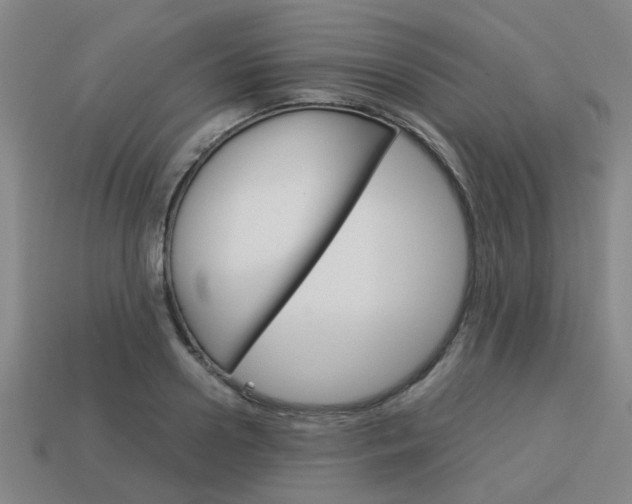 X0000114090938200910051207