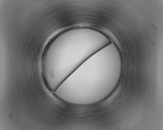 X0000114090939200910051207