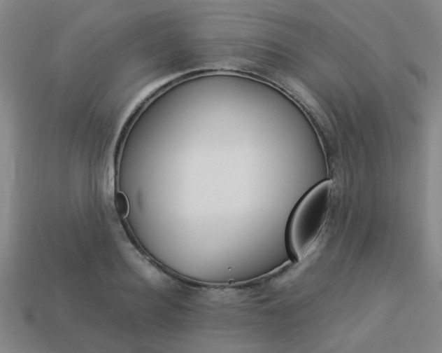 X0000114090940200910051207