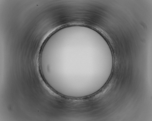 X0000114090941200910051207