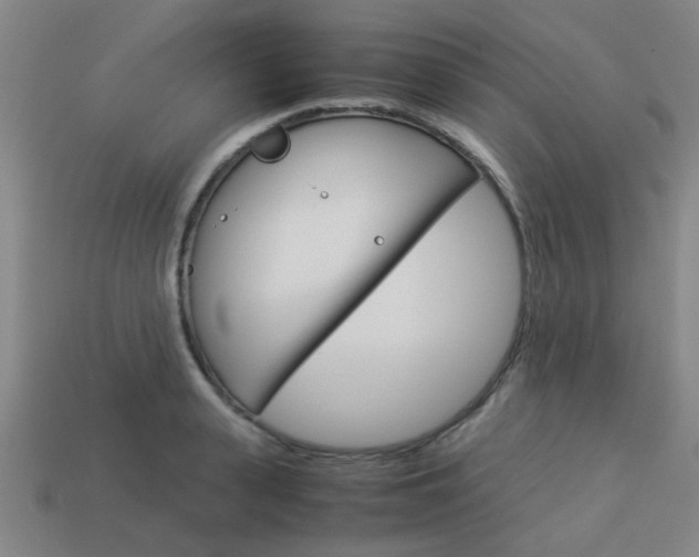 X0000114090943200910051207
