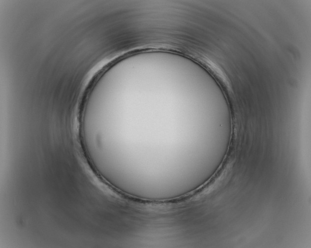 X0000114090944200910051207