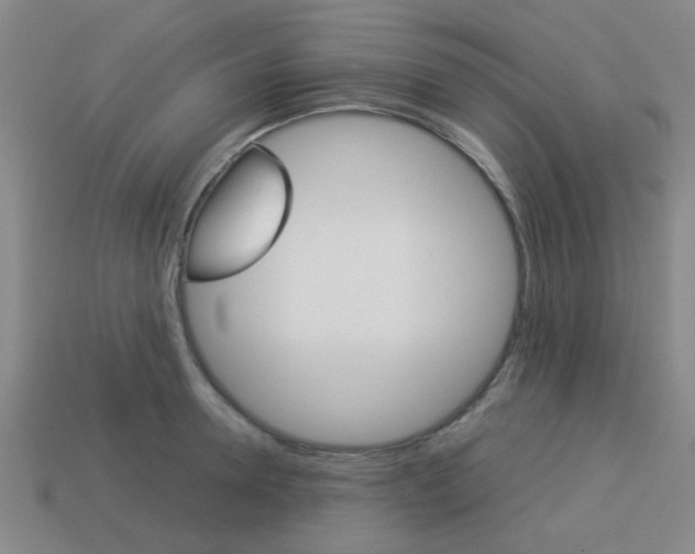 X0000114090946200910051207
