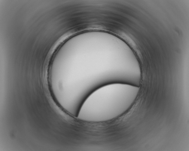 X0000114090947200910051207