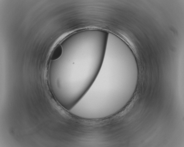 X0000114090948200910051207